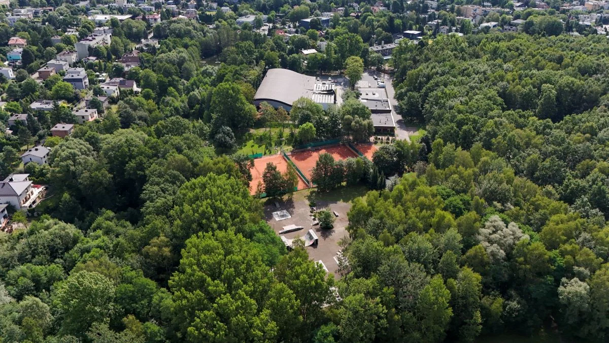 Park Zadole bez wycinki drzew – skatepark w granicach istniejącej infrastruktury