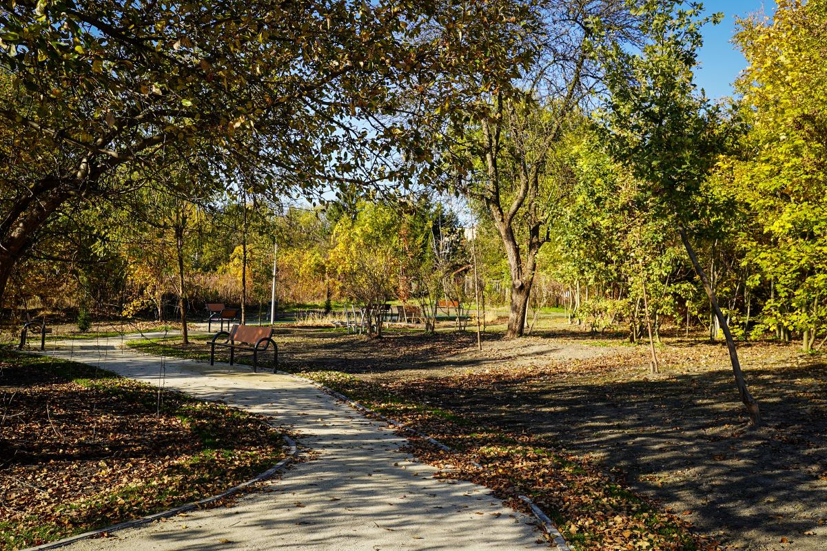 Ogród sensoryczny na Burowcu – nowa przestrzeń do relaksu dla mieszkańców Katowic