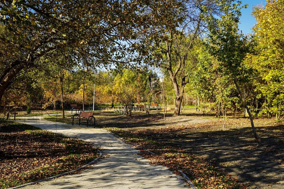 Ogród sensoryczny na Burowcu – nowa przestrzeń do relaksu dla mieszkańców Katowic