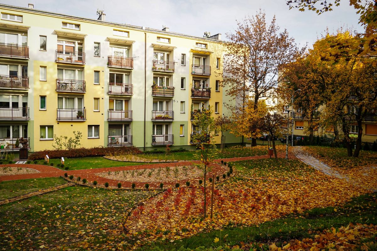 Rewitalizacja skwerów przy Grażyńskiego i Koszalińskiej – zieleń zamiast betonu