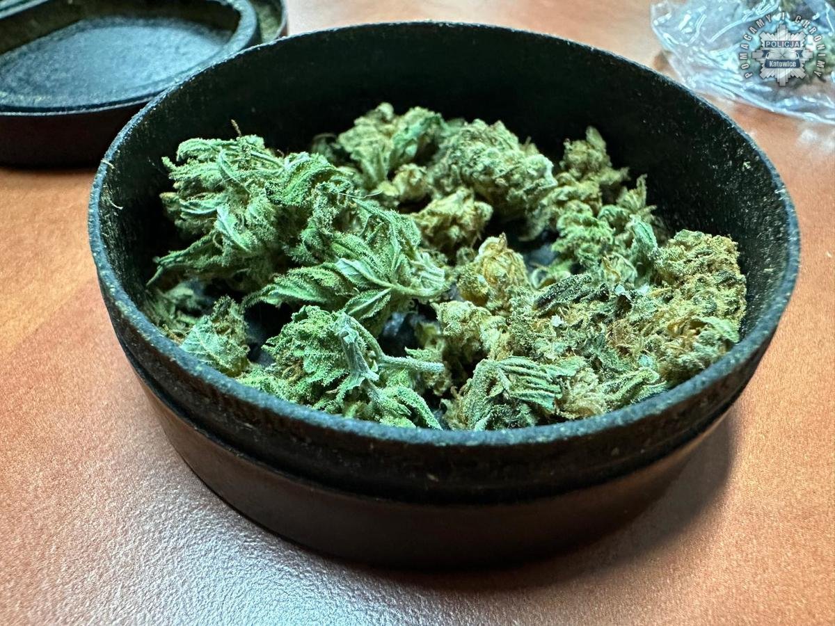 Katowice: zatrzymanie dwóch osób z narkotykami na festiwalu muzyki techno