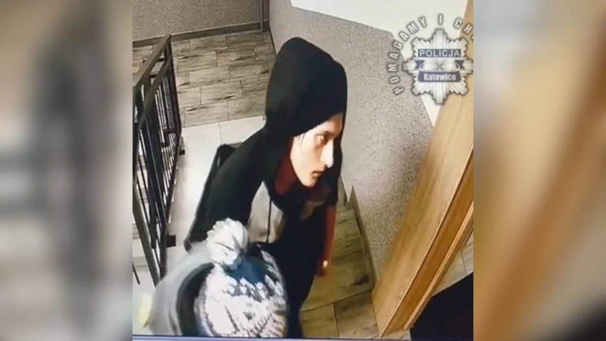 Kradzież na klatce schodowej w Katowicach – policja prosi o pomoc w identyfikacji