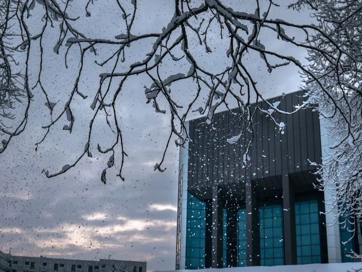 Tomasz Raczek w Katowicach: Spotkanie z autorytetem w dziedzinie krytyki filmowej