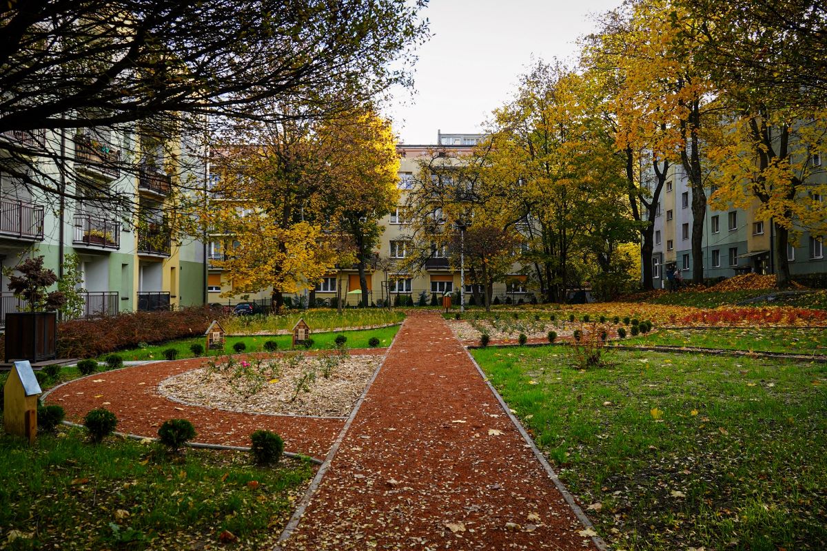 Betonowy plac zamienia się w zieloną przestrzeń – Katowice stawiają na naturę