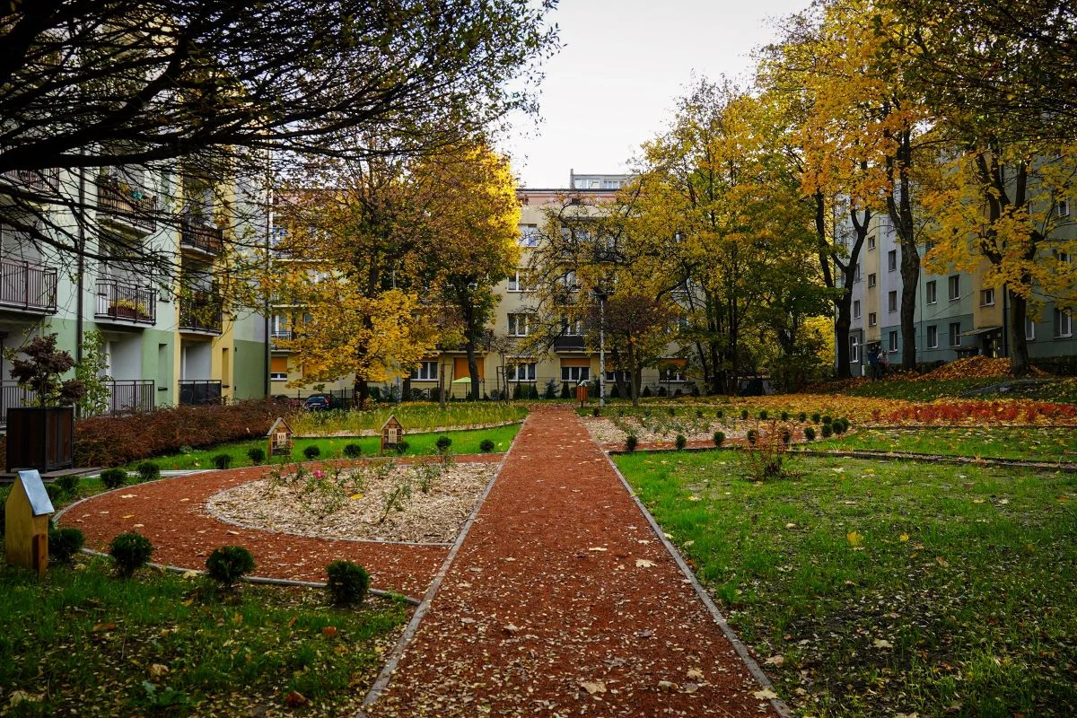 Betonowy plac zamienia się w zieloną przestrzeń – Katowice stawiają na naturę