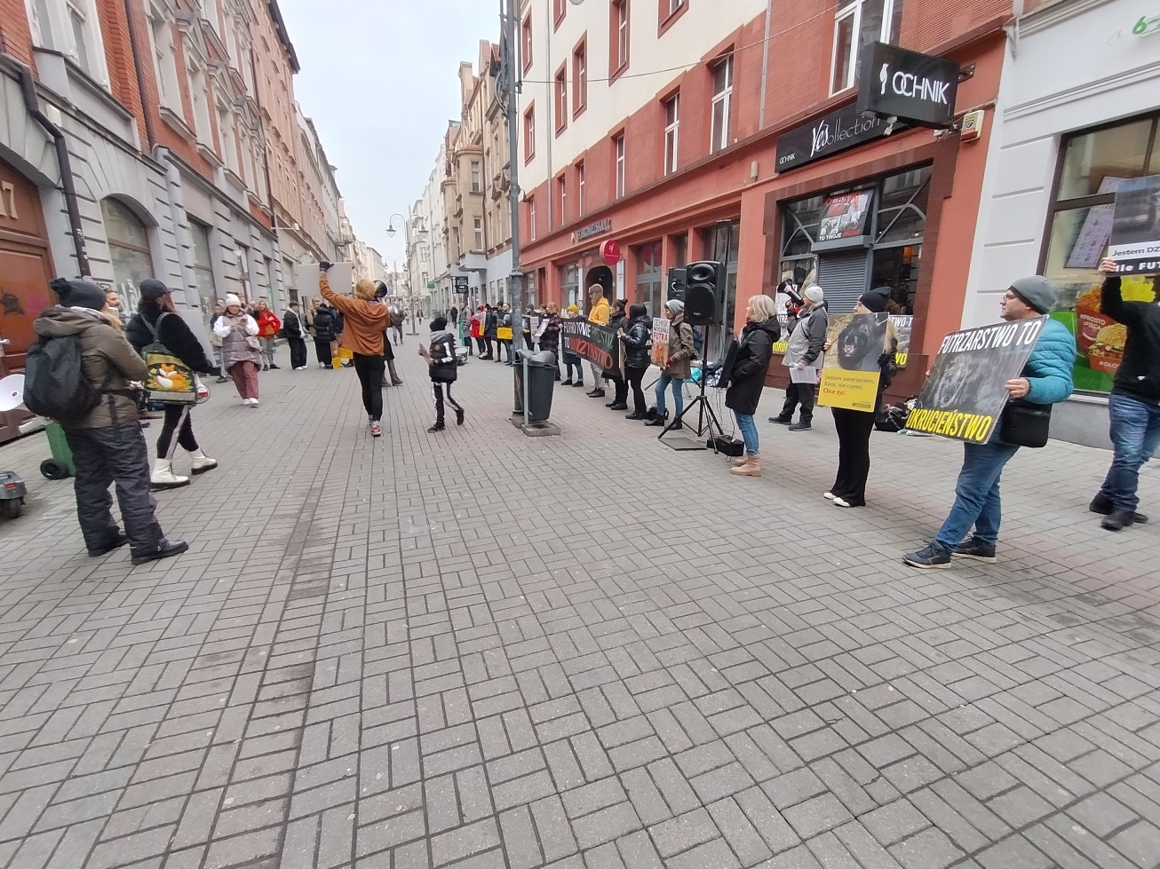 Protest przeciwko branży futrzarskiej w Katowicach. Ochnik na celowniku