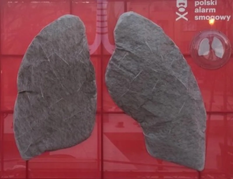 „Zobacz czym oddychasz” – rusza kampania promująca walkę o czyste powietrze w Żorach