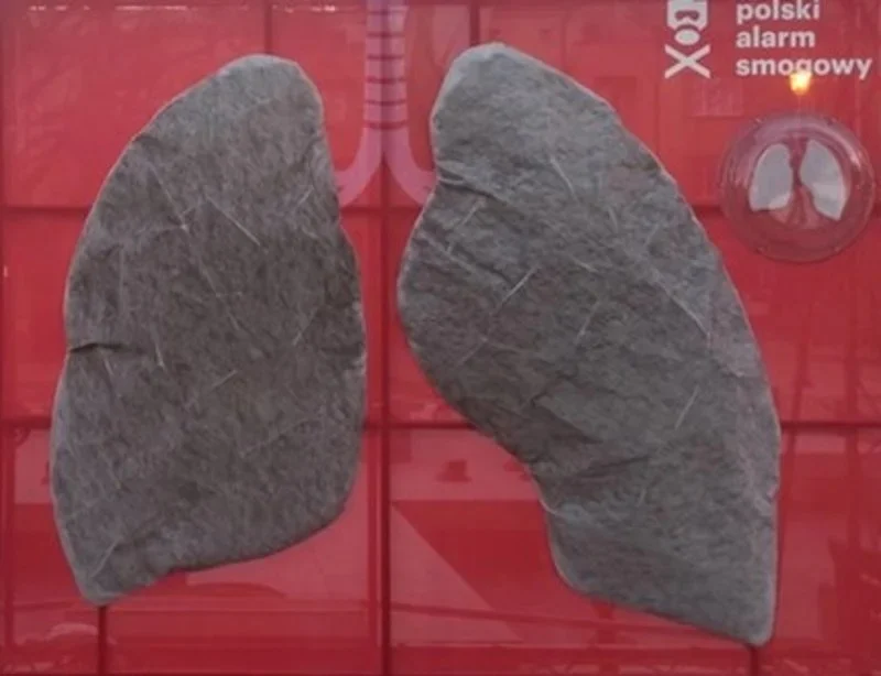 „Zobacz czym oddychasz” – rusza kampania promująca walkę o czyste powietrze w Żorach