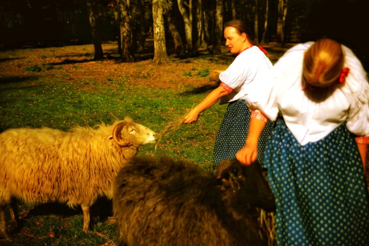 „Zagroda pełna zwierząt” – wyjątkowy spacer po skansenie