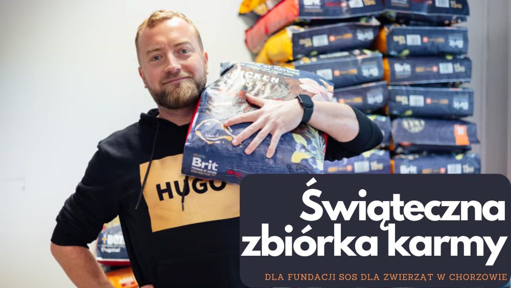 Karma Wraca 2024 – Pomóż zwierzętom w Święta!