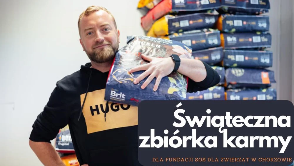 Karma Wraca 2024 – Pomóż zwierzętom w Święta!