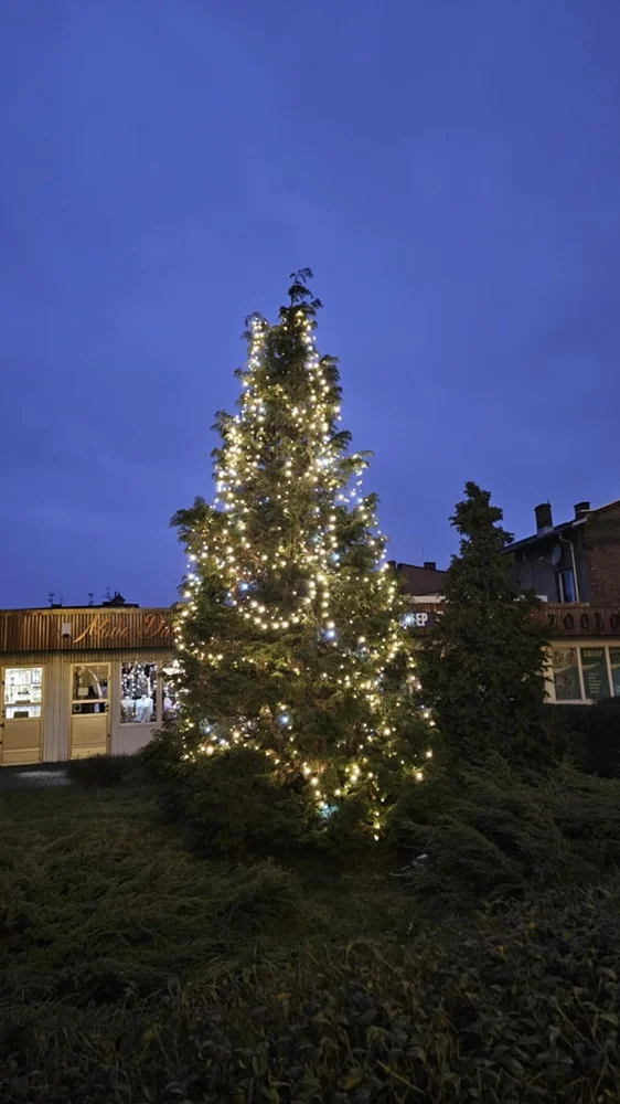 Mieszkańcy sami przygotowali miasto na Święta Bożego Narodzenia