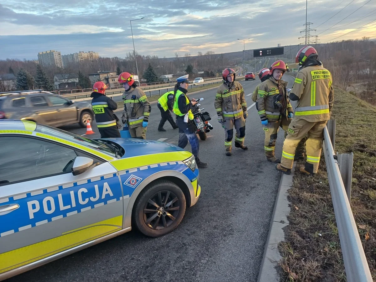 Wypadek na trasie N-S w Rudzie Śląskiej: motocyklista zderzył się z sarną