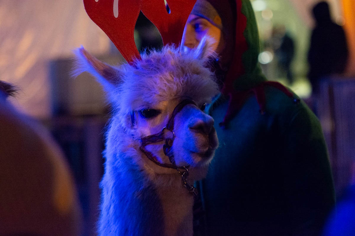 Rudzki Jarmark Świąteczny 63