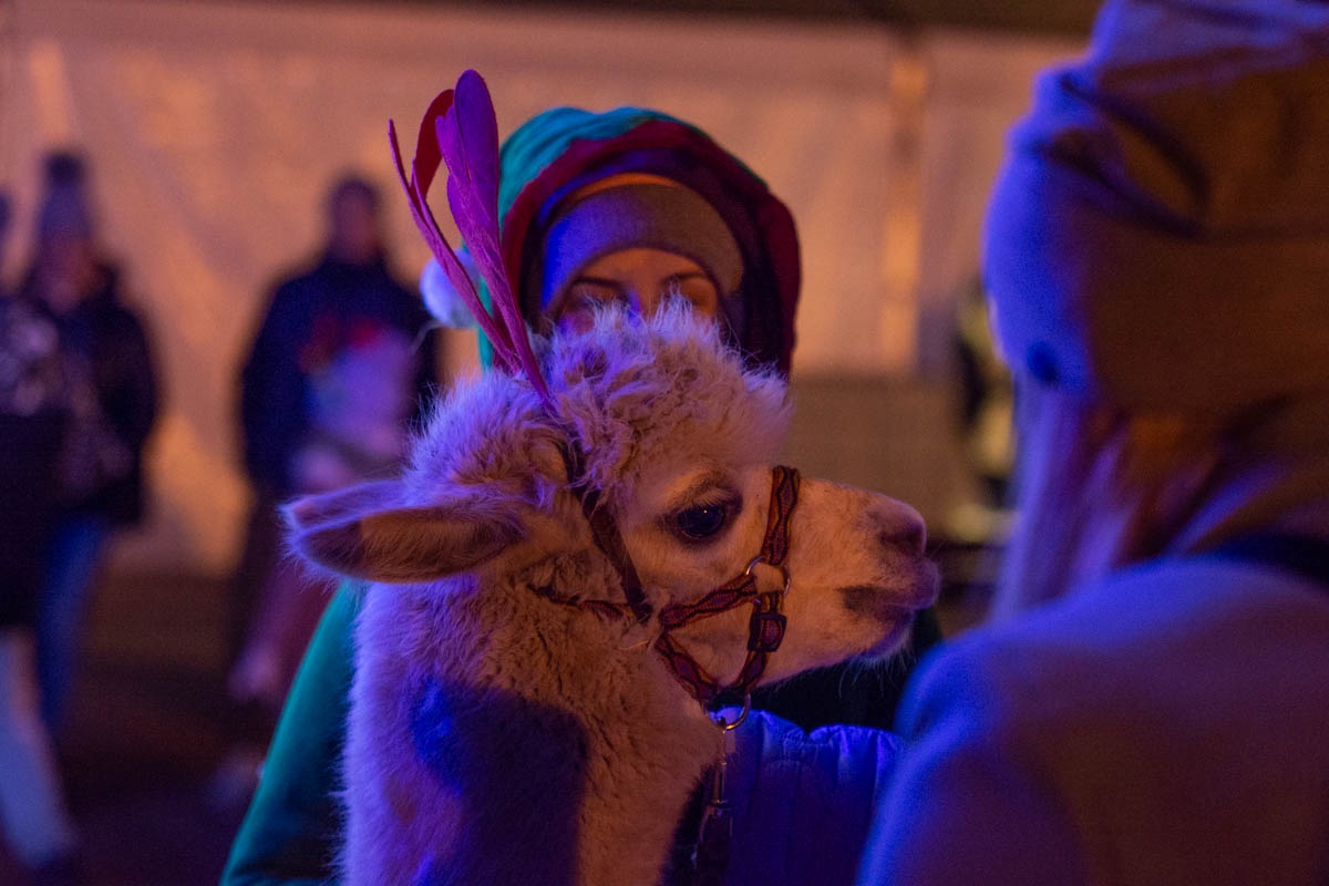 Rudzki Jarmark Świąteczny 64