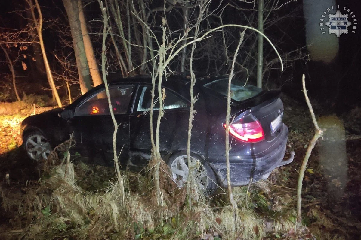 Żory: 39-latek uciekając przed kontrolą drogową samochodem ścinał drzewa