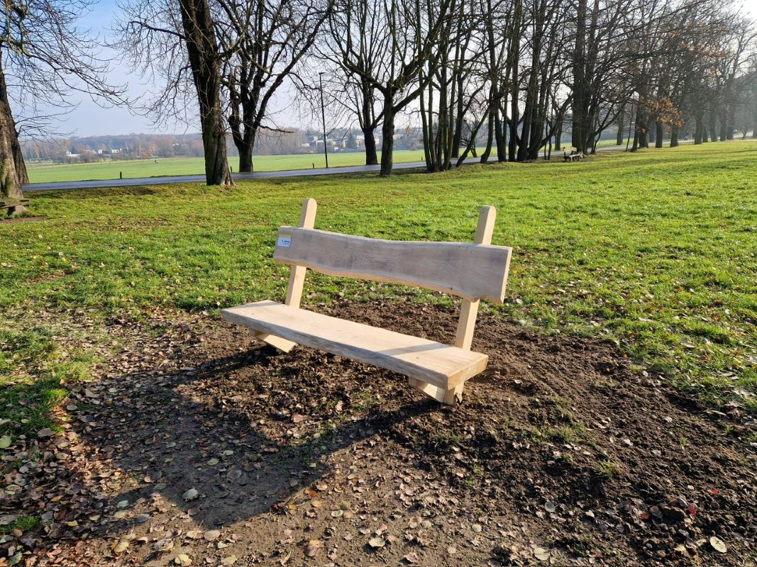 Nowe ławki w Bażantarni i na Rzęsie – zielona inicjatywa w Siemianowicach Śląskich
