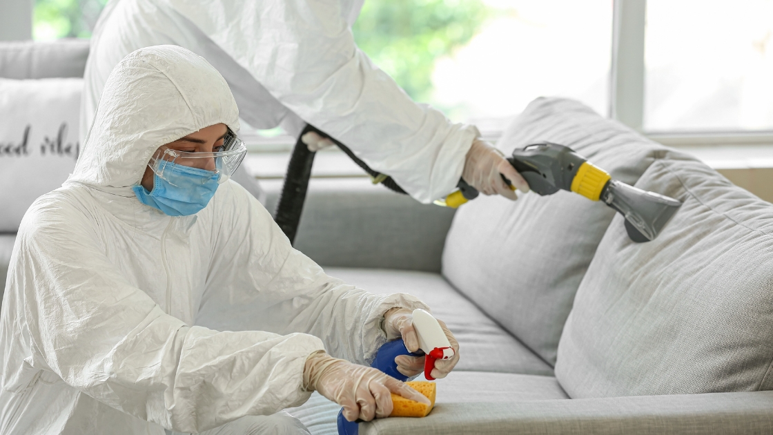 Jak przebiega profesjonalne czyszczenie po pożarze i eliminacja szkód?