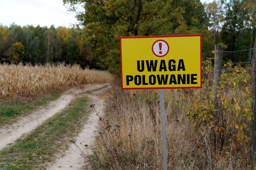 Terminy polowań organizowanych przez koła łowieckie w styczniu i lutym