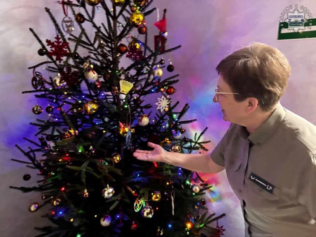 Akcja „Choinka-24” – zatrzymajmy nielegalną wycinkę drzew w lasach