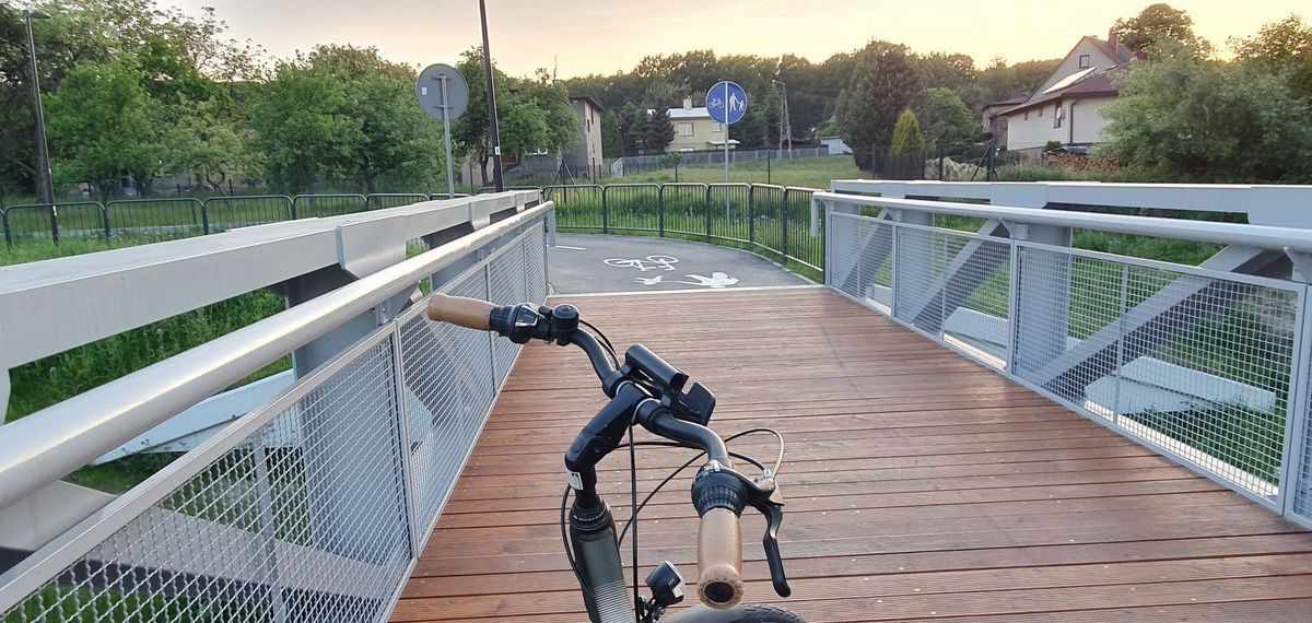 Pierwsze w Polsce studia podyplomowe z polityki rowerowej - Rybnik liderem innowacji