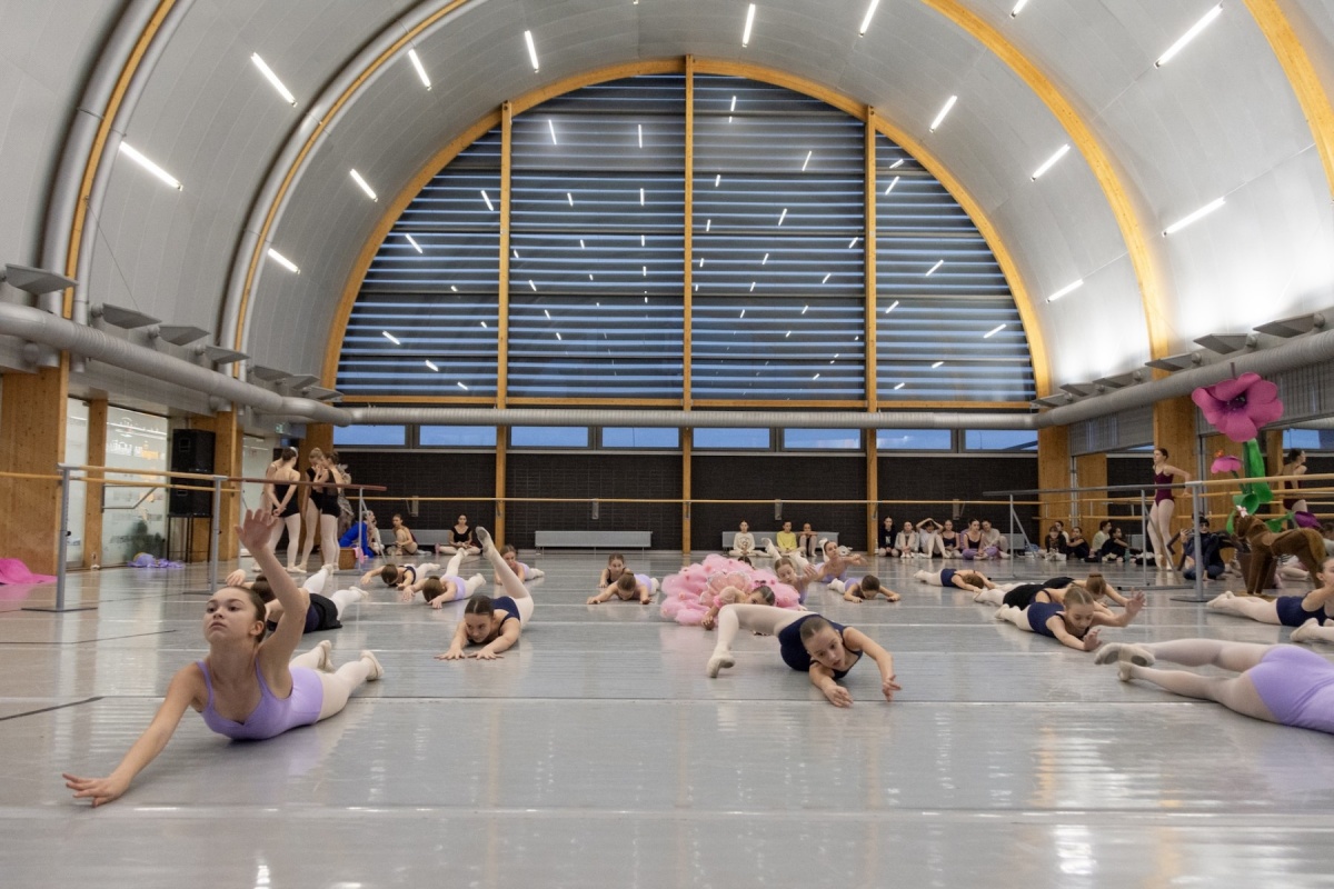 "Calineczka" na deskach Opery Śląskiej – baśń ożywa w baletowej wersji 1