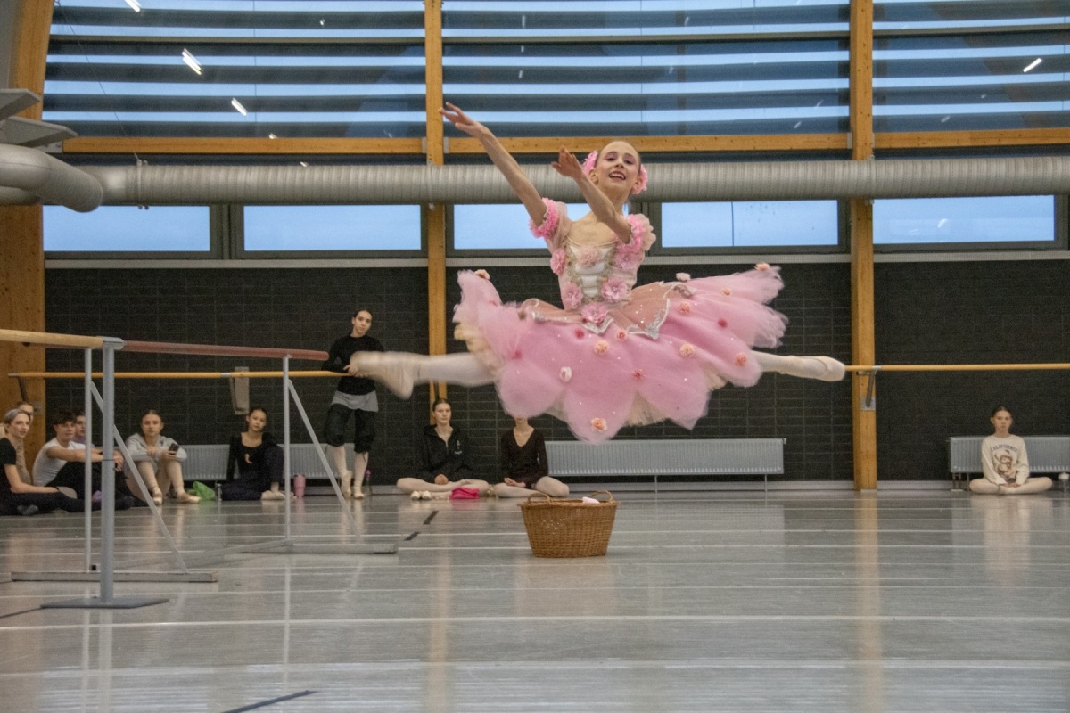 "Calineczka" na deskach Opery Śląskiej – baśń ożywa w baletowej wersji 5