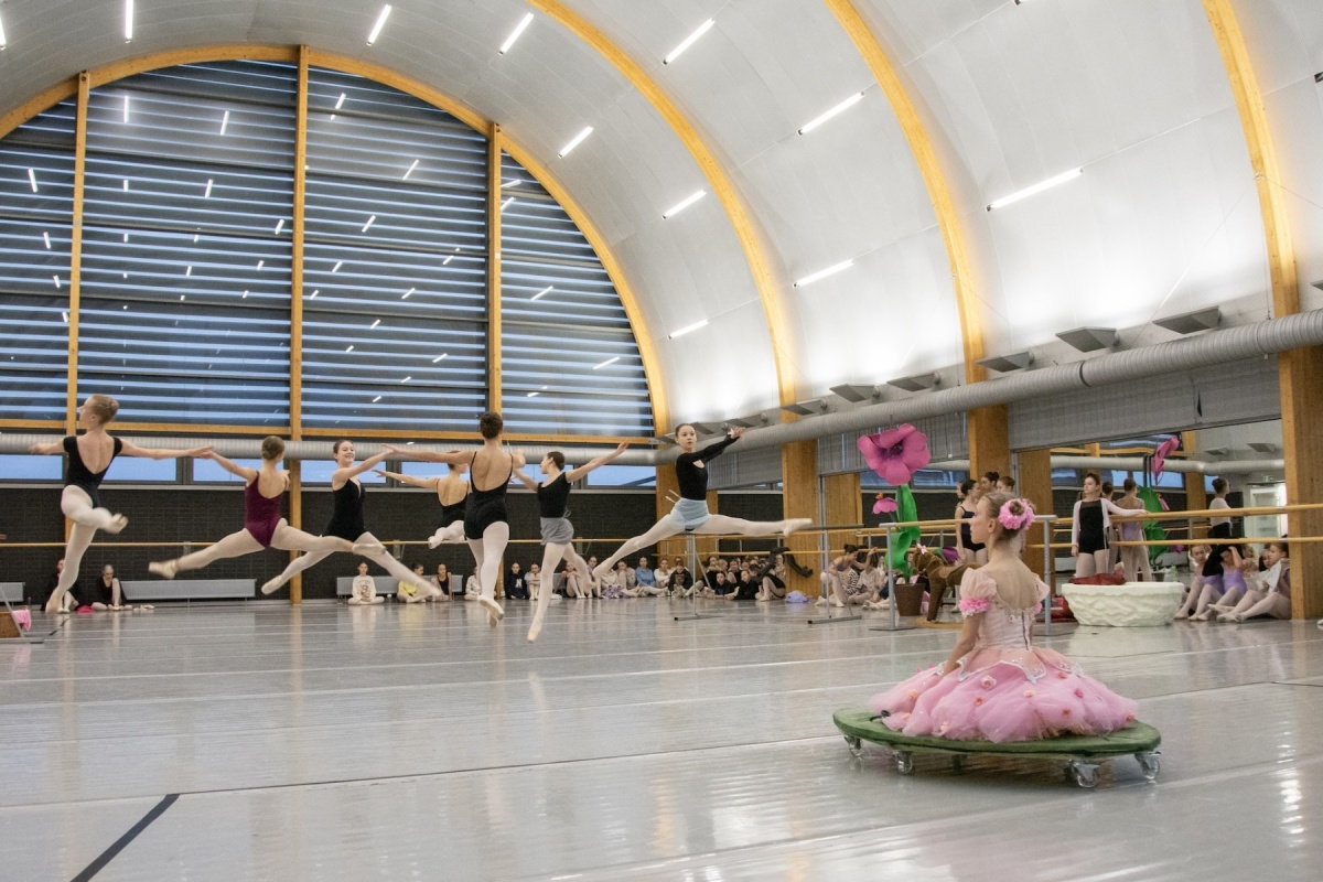 "Calineczka" na deskach Opery Śląskiej – baśń ożywa w baletowej wersji 7