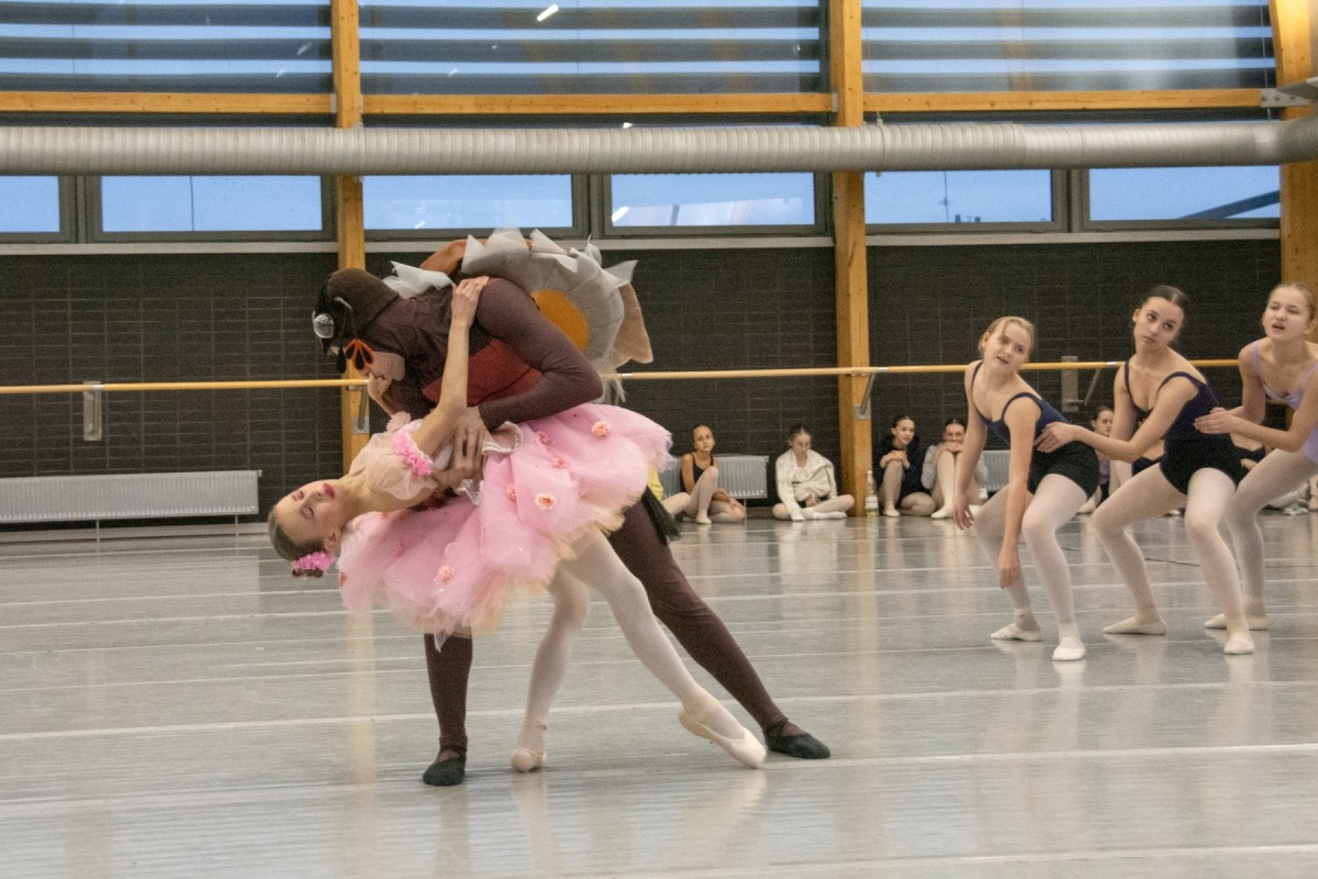 "Calineczka" na deskach Opery Śląskiej – baśń ożywa w baletowej wersji 8