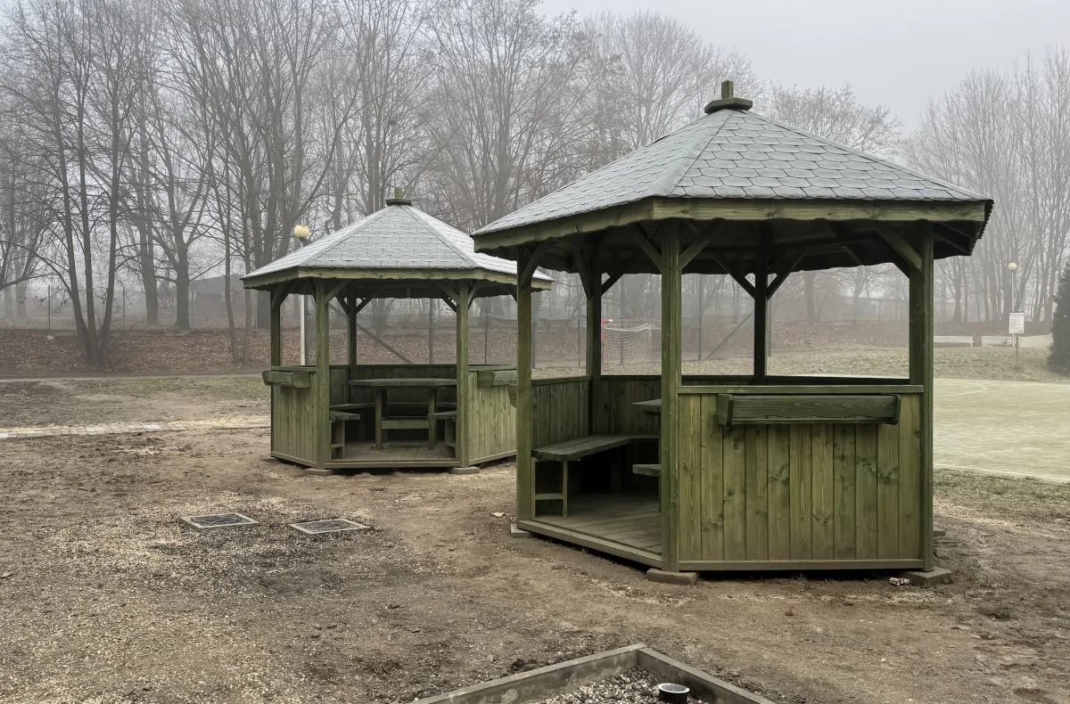 Nowy ogród deszczowy przy SP 51: z myślą o ekologii i edukacji