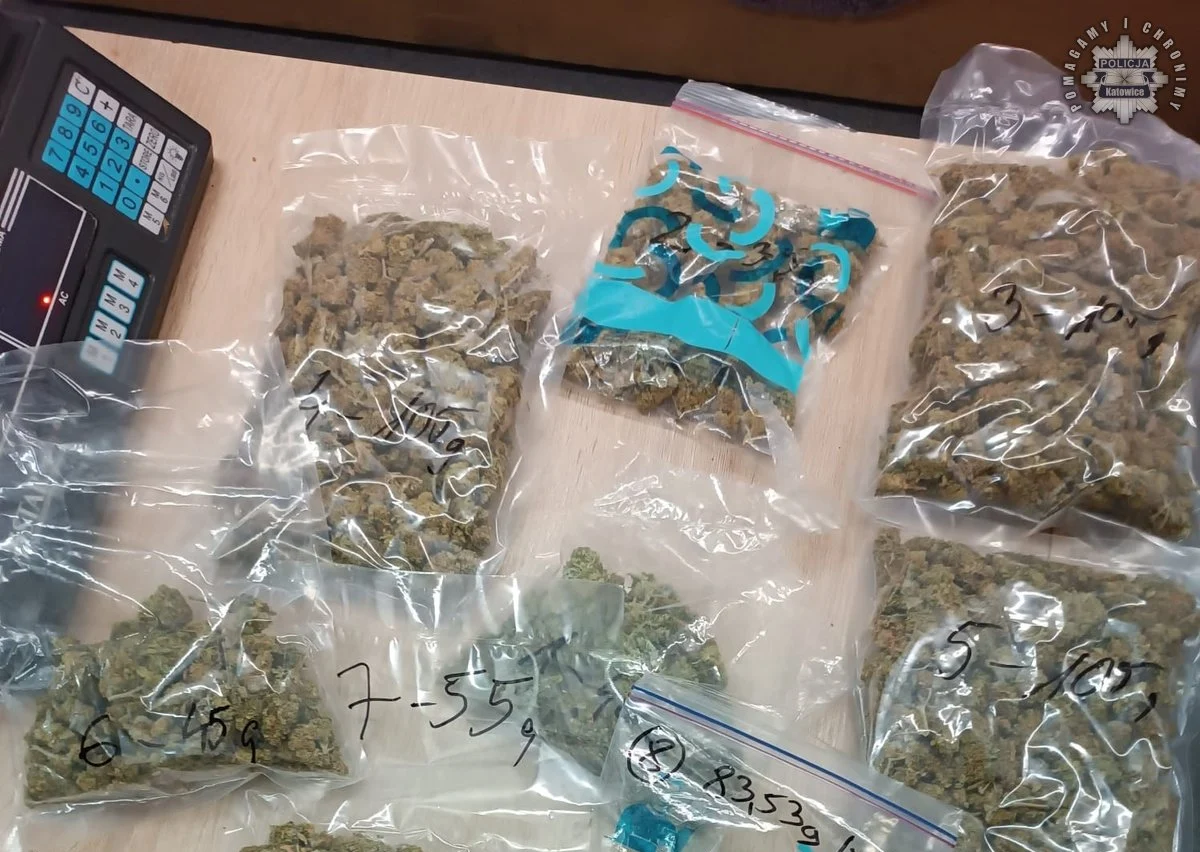 Zatrzymanie mężczyzny z marihuaną w Katowicach: 1000 działek dilerskich