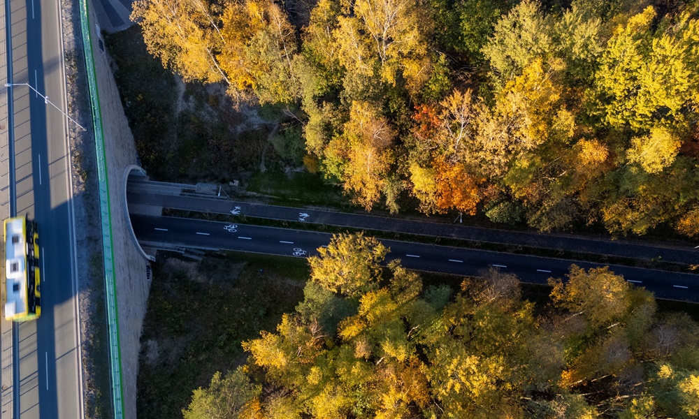W Katowicach powstała pierwsza velostrada – 4,4 km komfortowej drogi rowerowej