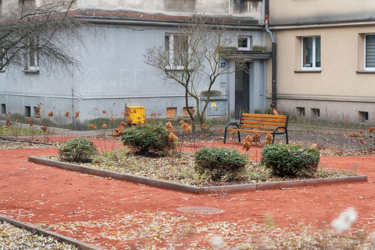 Katowice zielenią się na nowo – dwa skwery po rewitalizacji czekają na mieszkańców