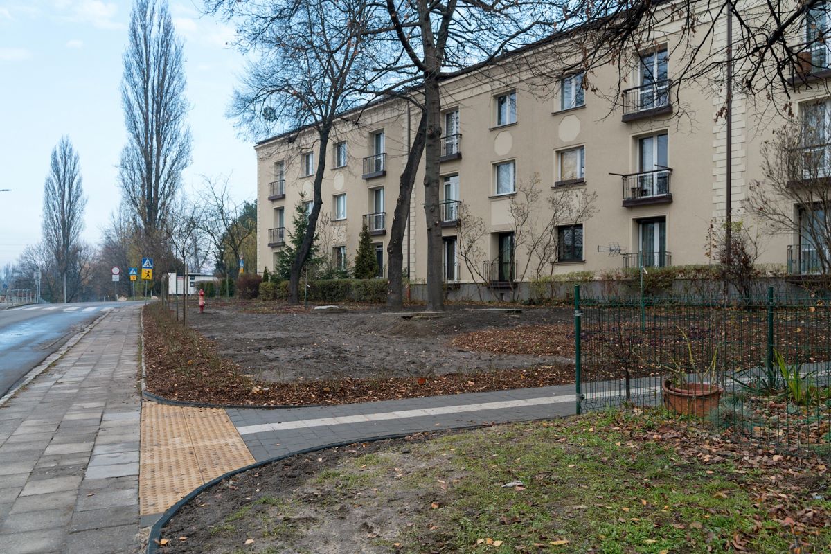 Katowice zielenią się na nowo – dwa skwery po rewitalizacji czekają na mieszkańców