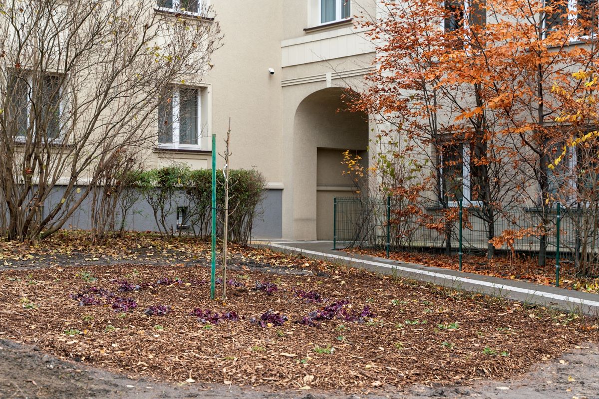 Katowice zielenią się na nowo – dwa skwery po rewitalizacji czekają na mieszkańców