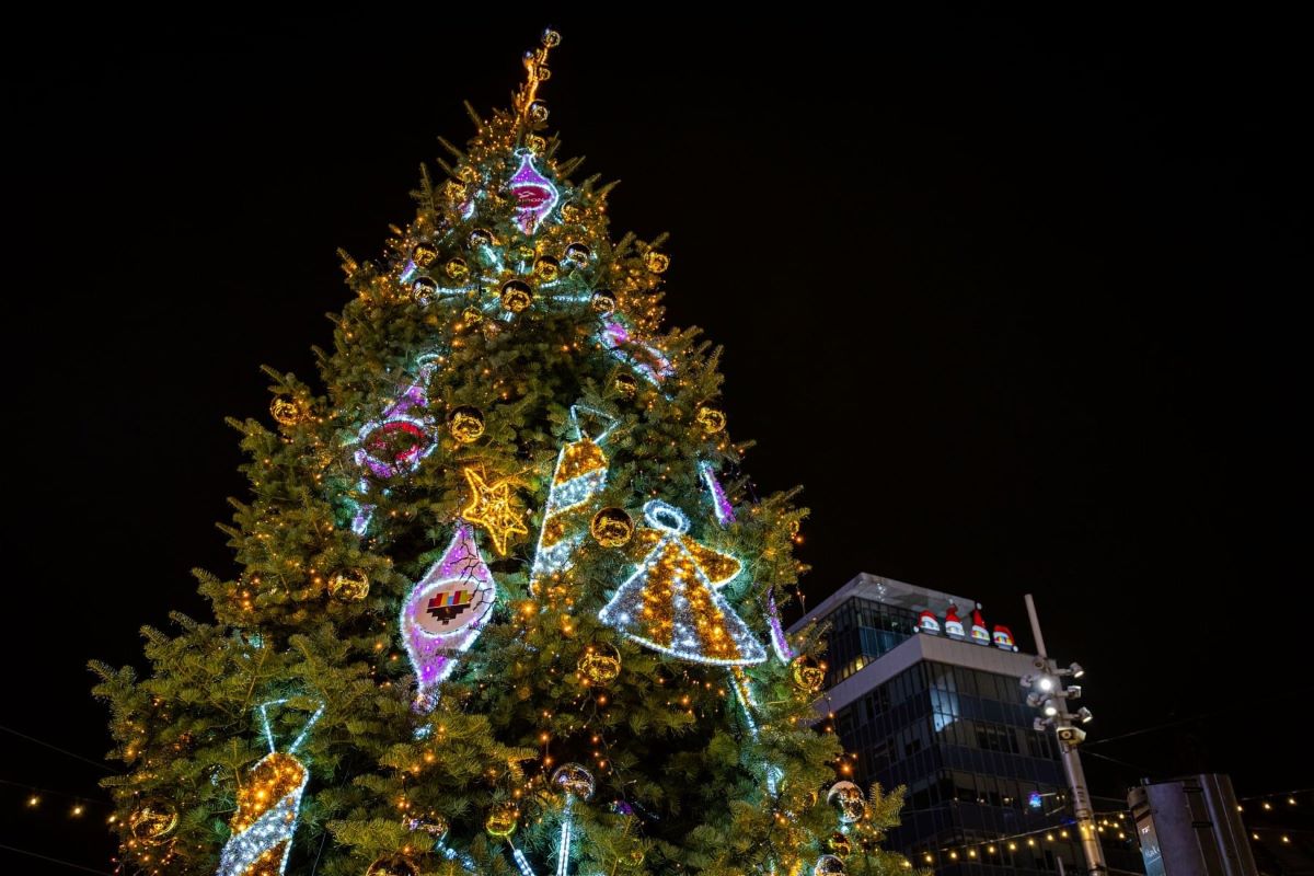 Dzień Wiecznie Zielonych Roślin – odkryj sekrety świątecznych choinek