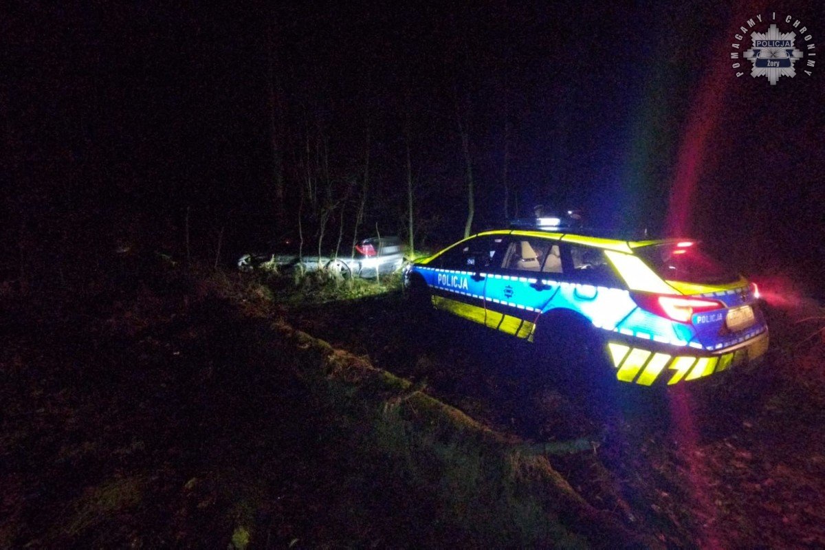 Żory: 39-latek uciekając przed kontrolą drogową samochodem ścinał drzewa