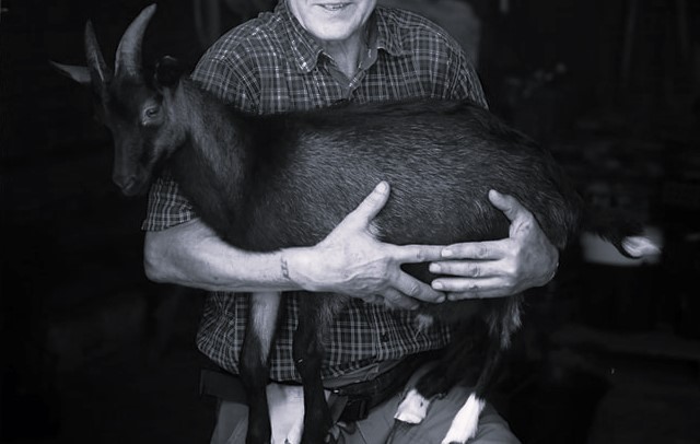 Koziołek Lucek ze skansenu nie żyje. Powodem nieodpowiedzialne zachowanie zwiedzających