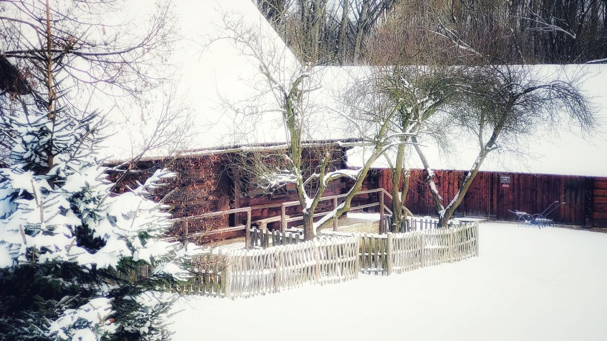 Dostępność kultury ludowej: Nowe inicjatywy Muzeum Górnośląskiego Parku Etnograficznego