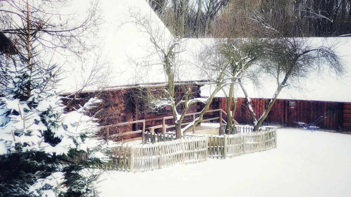 Dostępność kultury ludowej: Nowe inicjatywy Muzeum Górnośląskiego Parku Etnograficznego