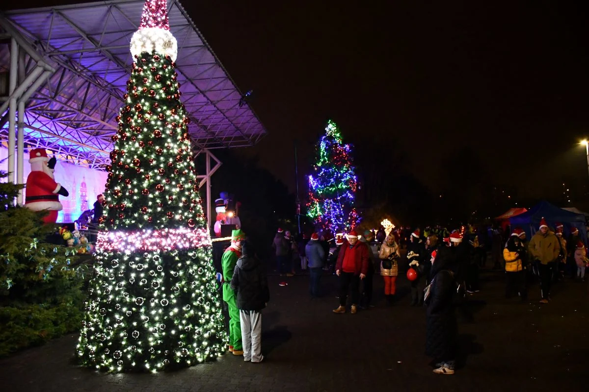 W oczekiwaniu na Święta rozświetlono miejskie choinki! 