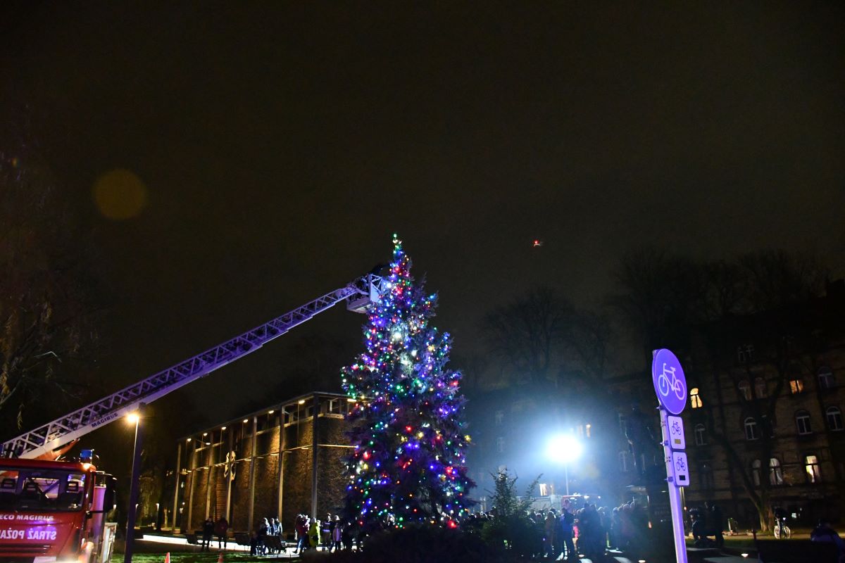 Strojenie miejskiej choinki 4