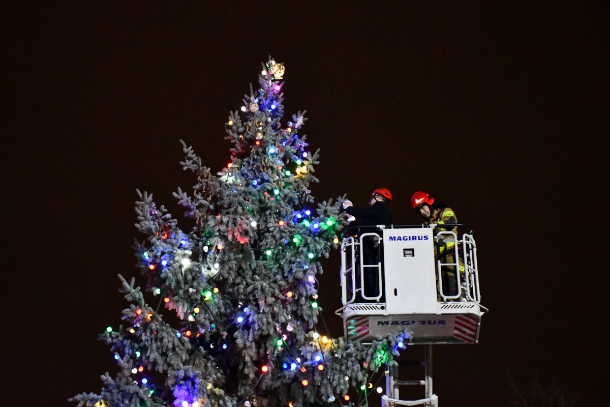 Strojenie miejskiej choinki 7