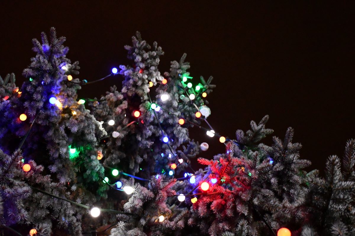 Strojenie miejskiej choinki 29