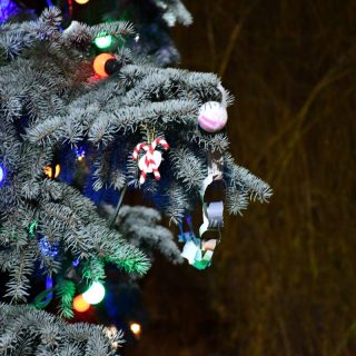 Strojenie miejskiej choinki 35