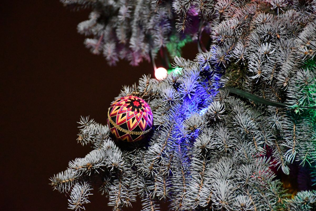 Strojenie miejskiej choinki 37