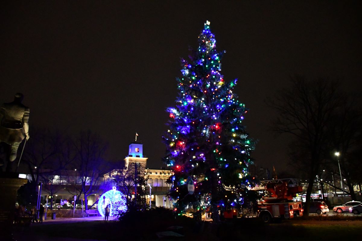 Strojenie miejskiej choinki 39