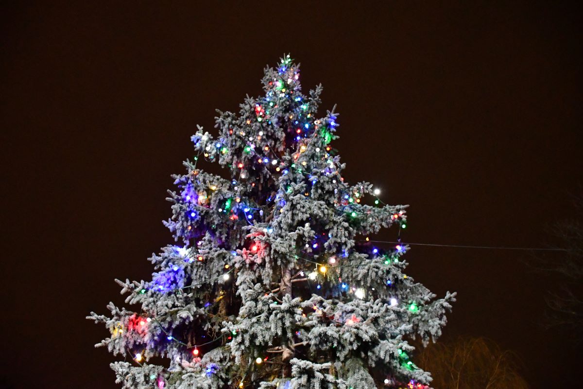 Strojenie miejskiej choinki 43