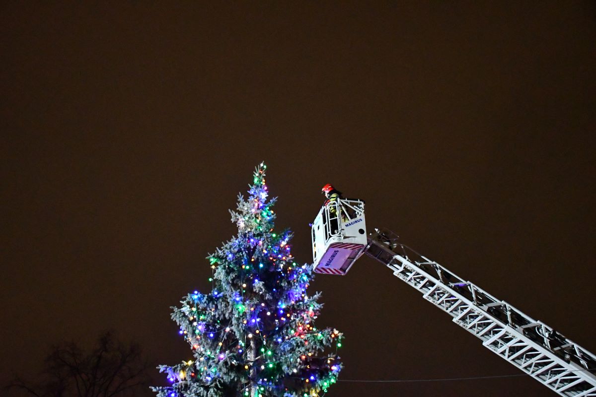Strojenie miejskiej choinki 45
