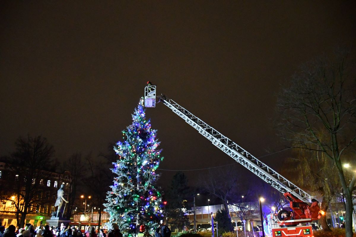 Strojenie miejskiej choinki 46